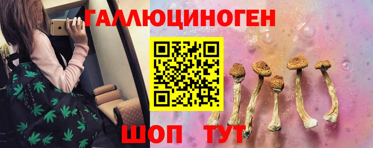 Псилоцибиновые грибы GOLDEN TEACHER Белгород
