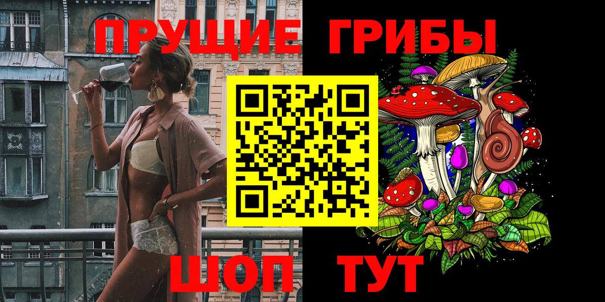 Псилоцибиновые грибы Psilocybe  Вход с VPN  Белгород  закладка  Галлюциногенные грибы Psilocybe 